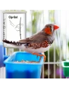 Cip Sal + Electrolitos PINETA 2.5 kg - Para aves