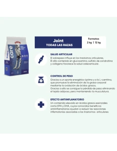 Arion Care Joint | Croquettes pour Chiens avec Problèmes Articulaires