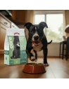 Pienso para Perro de Raza Pequeña ARION CARE Hipoalergénico 2kg|Complementos para aves