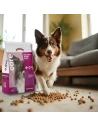 Arion Care Weight | Dog Food for Overweight or Sterilized Dogs