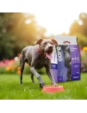 Pienso para Perro ARION CARE Weight 2kg|Complementos para aves
