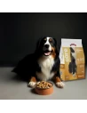Pienso para Perro ARION CARE Digestion 2kg|Complementos para aves