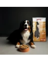 Pienso para Perro ARION CARE Digestion 12kg