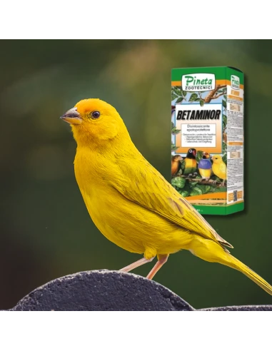 Betaminor Betaina PINETA 250 ml - Ayuda para el higado de los pajaros