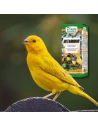 Betaminor Betaina PINETA 250 ml - Ayuda para el higado de los pajaros