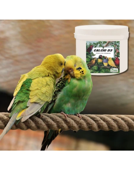 Calcio D3 + Vitaminas PINETA 1 KG - Para Pajaros