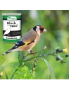 Black Noire PINETA con Eumelamina 1kg - Potencia las partes oscuras - Para Aves