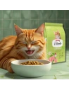 Pienso para Gato Esterilizado ARION FRIENDS Sterilized 2kg|Complementos para aves