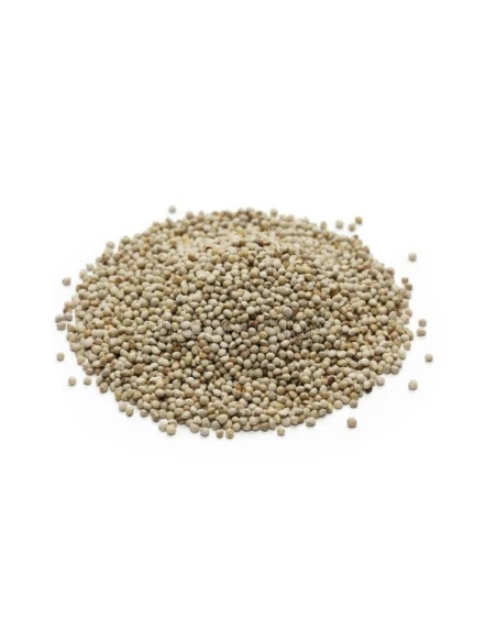 Semilla de Perilla Blanca para aves DISFA bolsa de 3 kg