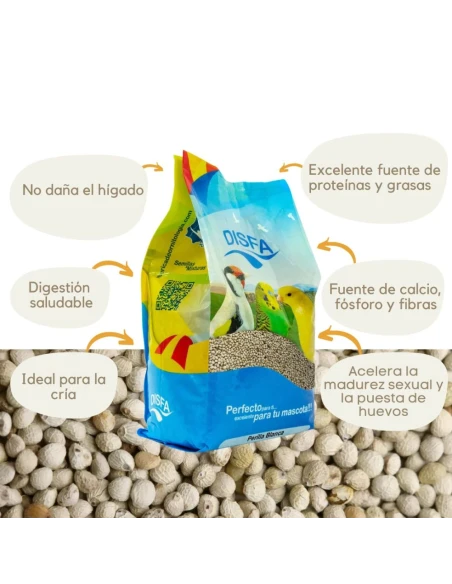 Bouton blanc Disfa 1 kg
