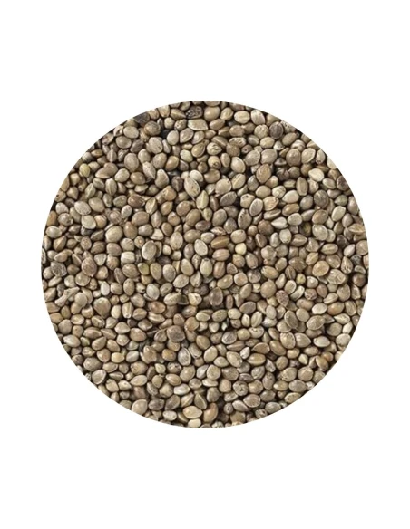 Semilla de cañamón francés DISFA 3.5 KG|Complementos para aves