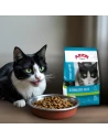 Comida para Gato Esterilizado ARION ORIGINAL Sterilized de Pollo y Arroz 2kg|Complementos para aves