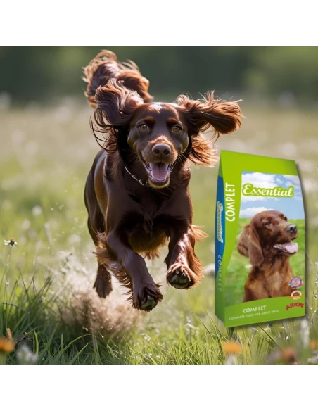Pienso para Perro ARION ESSENTIAL Complet 18kg|Complementos para aves