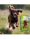 Pienso para Perro ARION ESSENTIAL Complet 18kg|Complementos para aves