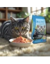 Comida para Gato ARION ESSENTIAL Fish Complet 3kg|Complementos para aves