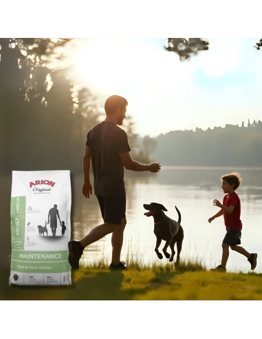 Pienso para Perro de Raza Mediana ARION ORIGINAL Maintenance Pollo 12kg