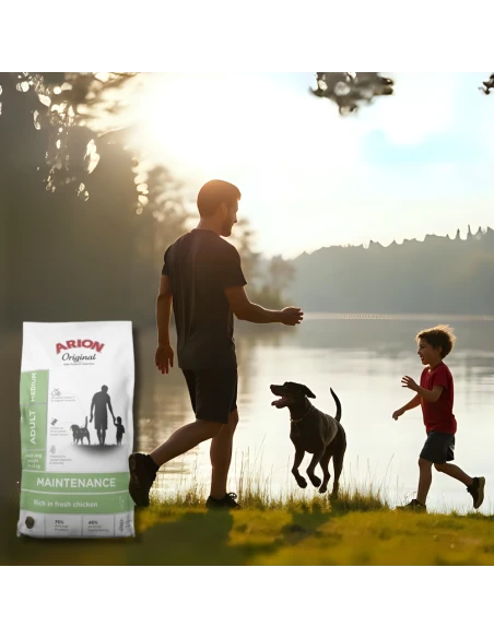 Pienso para Perro de Raza Mediana ARION ORIGINAL Maintenance Pollo 2kg|Complementos para aves