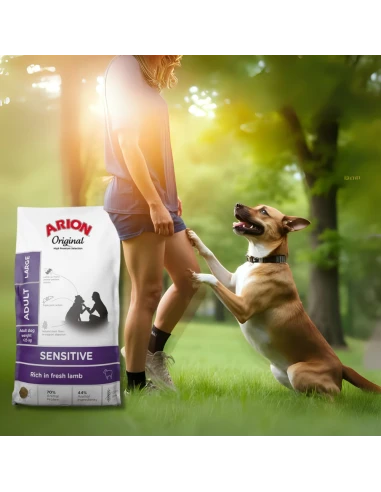 Pienso para Perro de Raza Mediana ARION ORIGINAL Sensitive Cordero 12kg