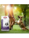 Pienso para Perro de Raza Mediana ARION ORIGINAL Sensitive Cordero 2kg|Complementos para aves