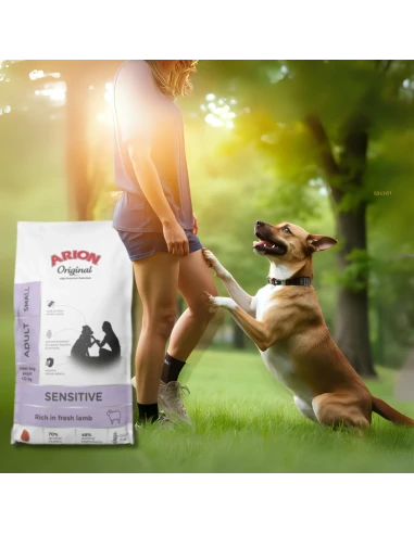 Pienso para Perro de Raza Pequeña ARION ORIGINAL Sensitive Cordero 2kg