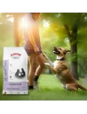 Pienso para Perro de Raza Pequeña ARION ORIGINAL Sensitive Cordero 2kg