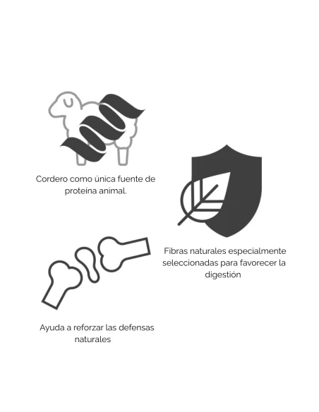 Pienso para Perro de Raza Mediana ARION ORIGINAL Skin&Coat Salmon 2kg|Complementos para aves