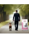 Pienso para Perro de Raza Mediana ARION ORIGINAL Skin&Coat Salmon 12kg