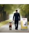 Pienso para Perro ARION ORIGINAL Light All Breed de Pollo 12kg