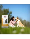 Pienso para Perro Senior de Raza Med/Gra ARION ORIGINAL Mature +7 Pollo 2kg|Complementos para aves