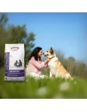 Pienso para Perro de Raza Grande ARION ORIGINAL Sensitive Cordero 12kg|Complementos para aves