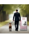 Pienso para Perro de Raza Pequeña ARION ORIGINAL Skin&Coat Salmon 2kg