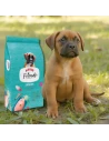 Pienso para Perro Cachorro ARION FRIENDS Junior 3kg|Complementos para aves