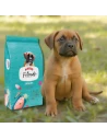 Pienso para Perro Cachorro ARION FRIENDS Junior 14kg|Complementos para aves