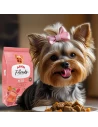 Pienso para Perro Raza Pequeña ARION FRIENDS Petit 9kg|Complementos para aves