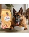 Pienso para Perro ARION Friends Senior 14kg