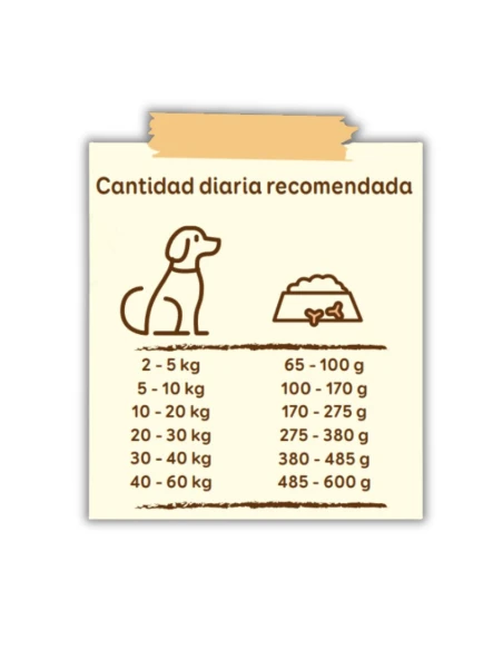 Pienso para Perro ARION Friends Senior 14kg