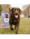Sterilized dog food ARION sterelized light 14 kg