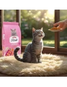 Comida para Gato ARION FRIENDS Sensitive 9kg|Complementos para aves