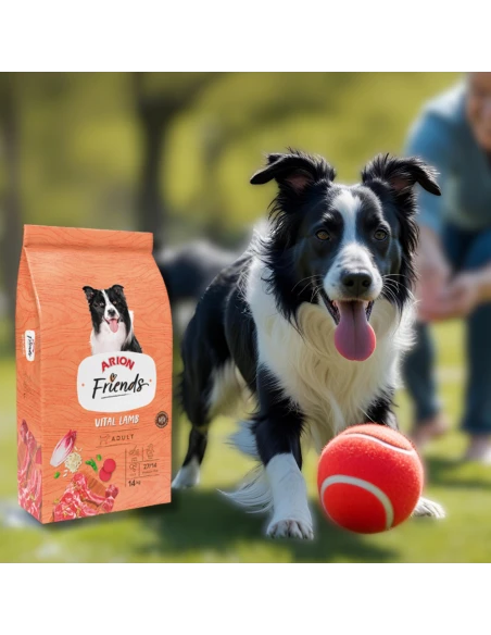 Pienso para Perro ARION FRIENDS Vital Cordero 14kg|Complementos para aves