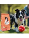 Pienso para Perro ARION FRIENDS Vital Cordero 14kg|Complementos para aves