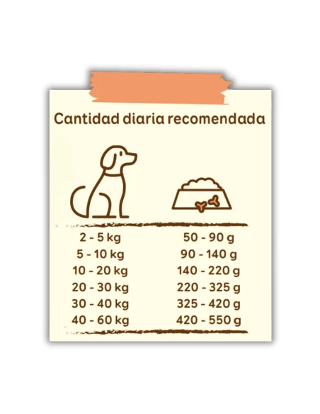 Complementos para aves|Pienso para Perro ARION FRIENDS Vital Cordero 14kg
