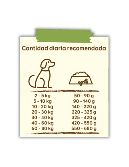 Pienso para Perro ARION FRIENDS Vital Salmon 3kg|Complementos para aves