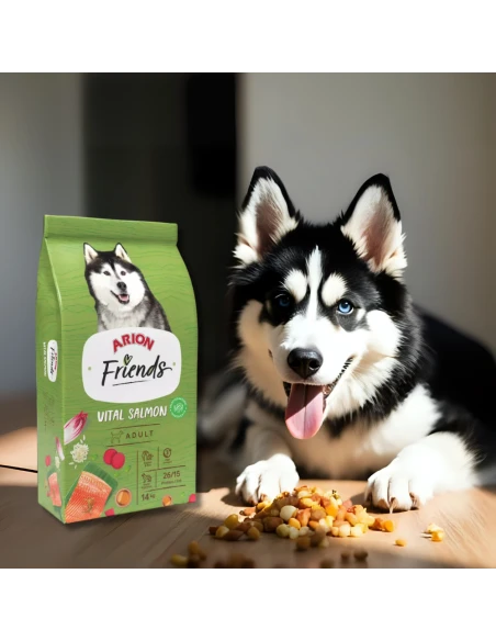 Pienso para Perro ARION FRIENDS Vital Salmon 3kg|Complementos para aves