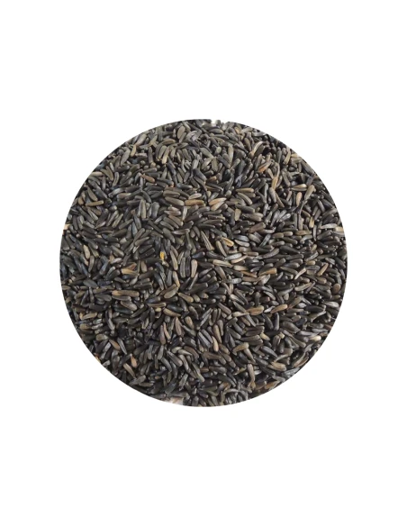 semilla de NEGRILLO Disfa, para aves, bolsa de 4 kg