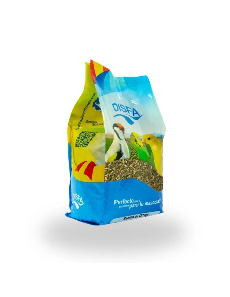 Graine d’ortie Disfa 1 kg