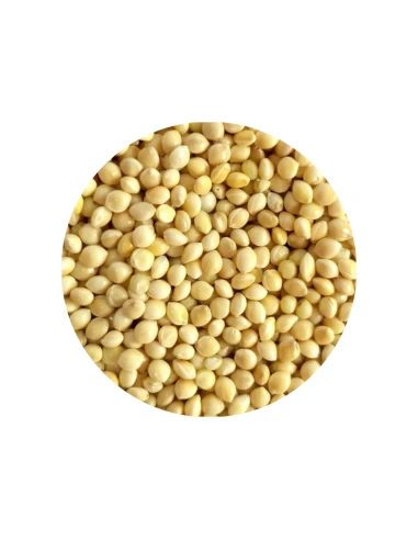 Mijo Blanco Disfa 4 kg para aves