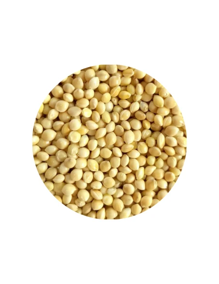 Mijo Blanco DISFA para aves, 1 kg