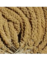Panizo en Rama JARAD Extra Amarillo 250 grs|Complementos para aves