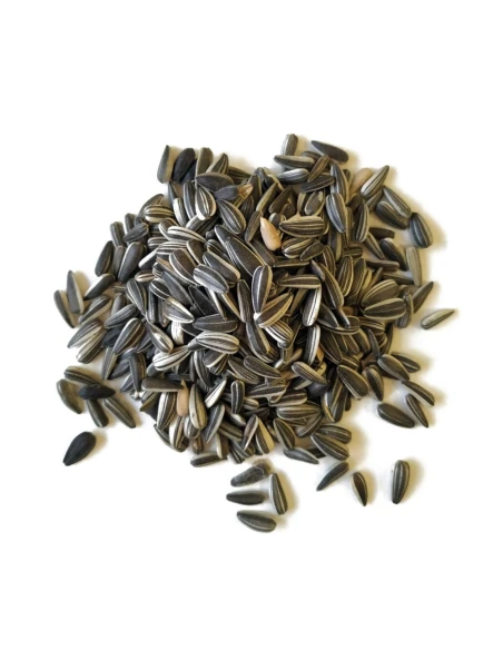 Jarad Parrot Pipe 400gr: for all parrot sizes