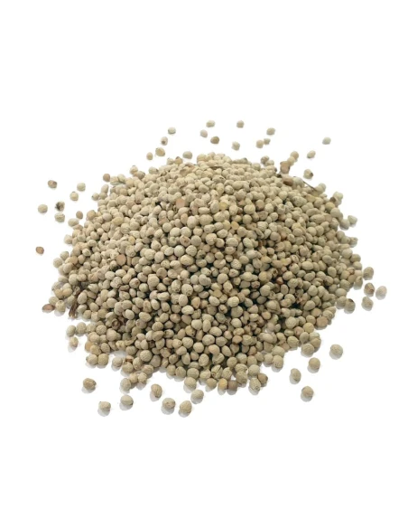 semilla de Perilla blanca JARAD para aves, bolsa de 3 kg.|Complementos para aves